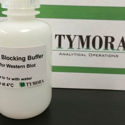 10x Optimized Blocking Buffer for Western Blot