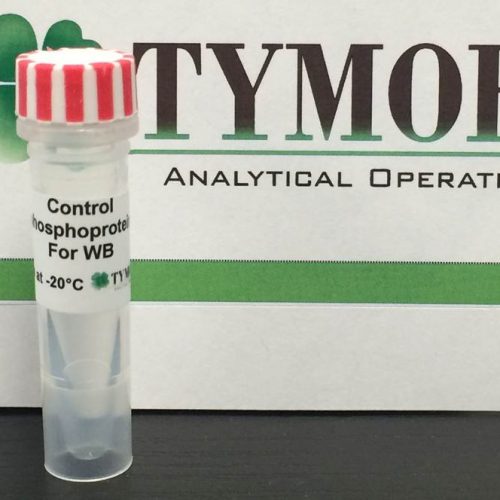 Control Phosphoprotein for Western Blot